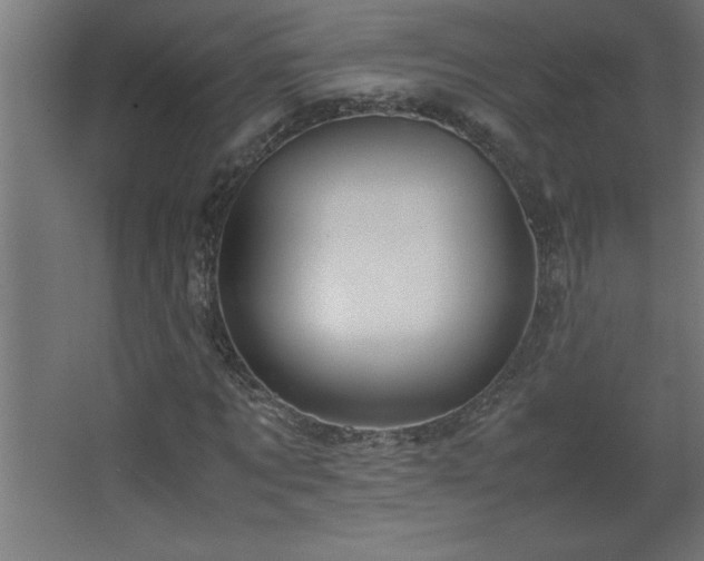 X0000067830869200604201213