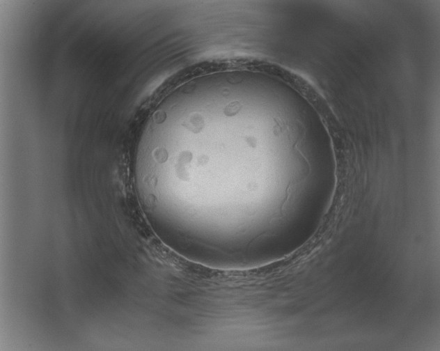 X0000067830871200604201213