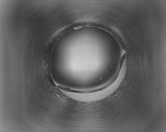 X0000067830872200604201213