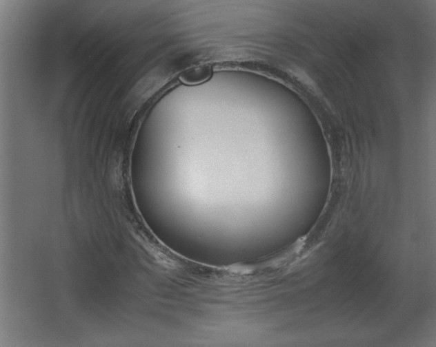 X0000067830873200604201213