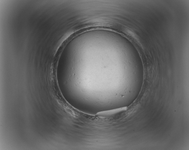 X0000067830875200604201213