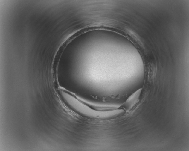 X0000067830876200604201213