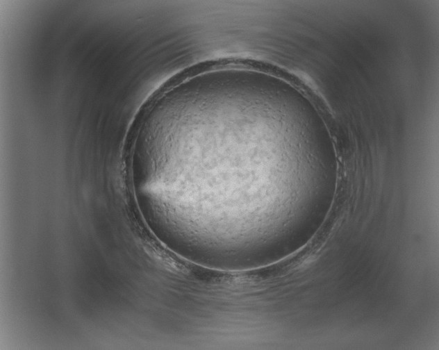 X0000067830879200604201213