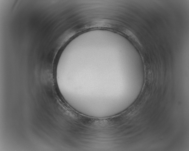 X0000067830882200604201213