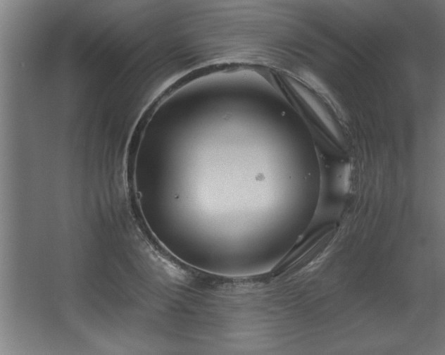 X0000067830884200604201212