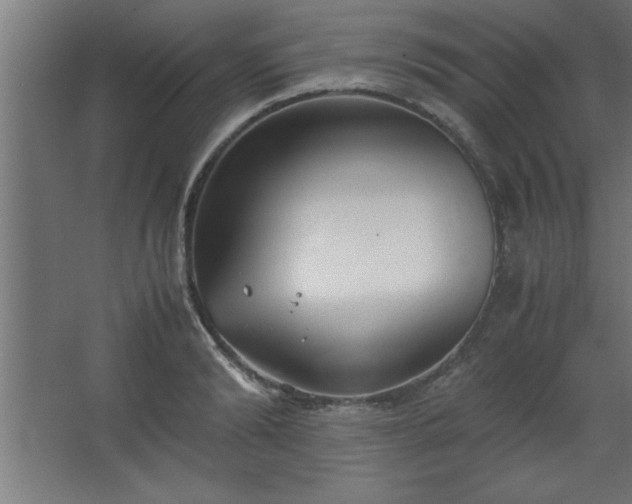 X0000067830894200604201212