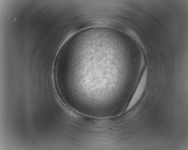 X0000067830899200604201212