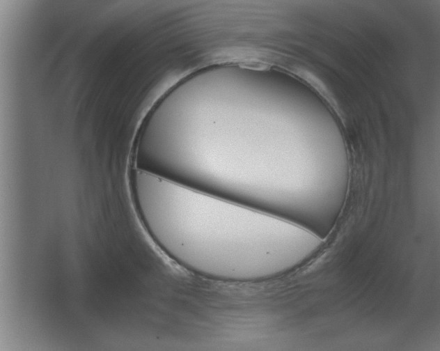 X0000067830901200604201212