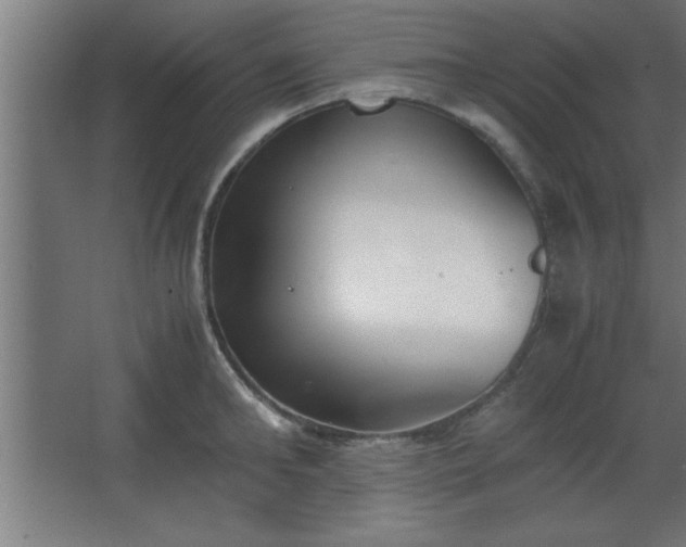 X0000067830902200604201212