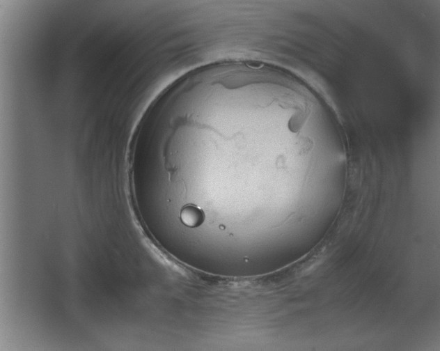 X0000067830903200604201212