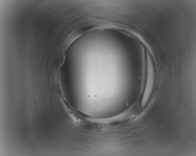 X0000067830905200604201212