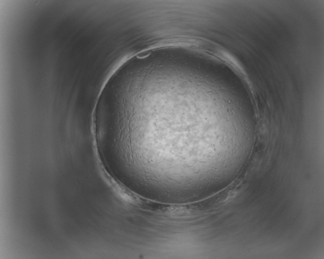 X0000067830907200604201212