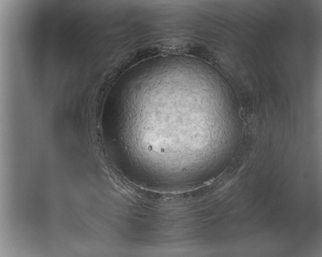 X0000067830913200604201211