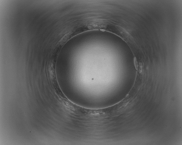 X0000067830915200604201211