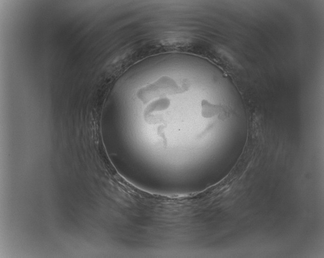 X0000067830917200604201211