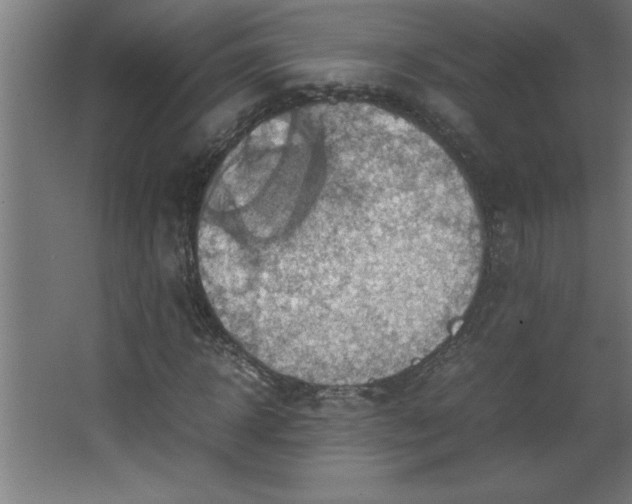 X0000067830918200604201211