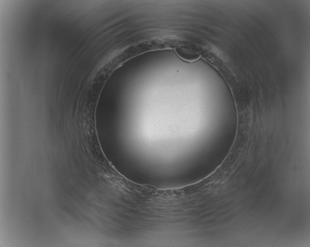 X0000067830919200604201211