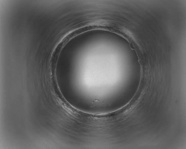 X0000067830923200604201211