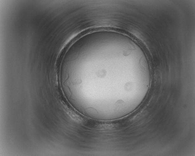 X0000067830925200604201211