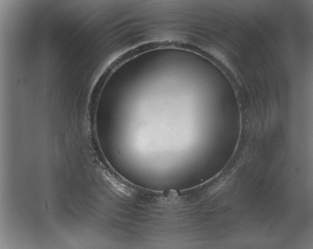 X0000067830927200604201211