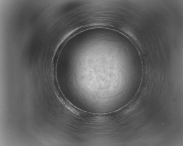 X0000067830933200604201212