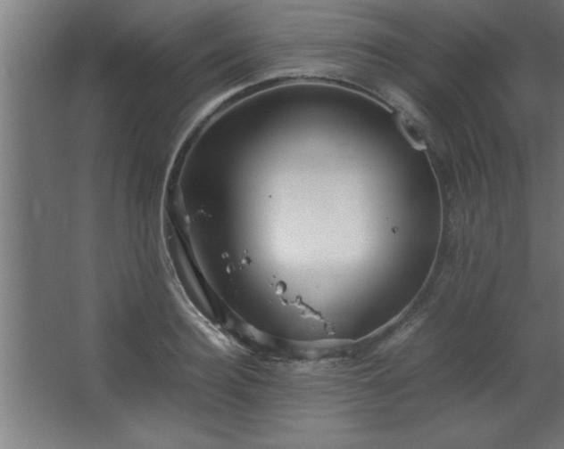 X0000067830940200604201212