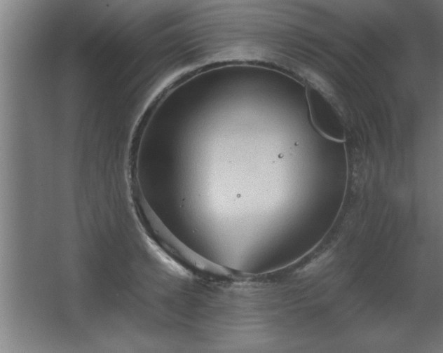 X0000067830942200604201212