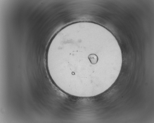 X0000067830950200604201212