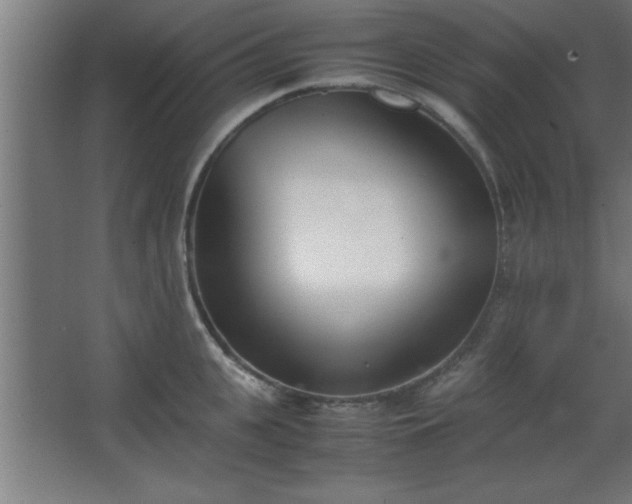 X0000067830951200604201212