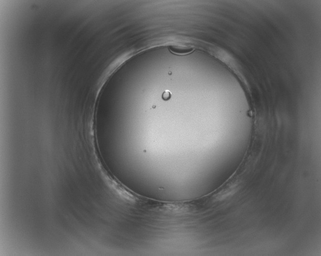 X0000067830954200604201212