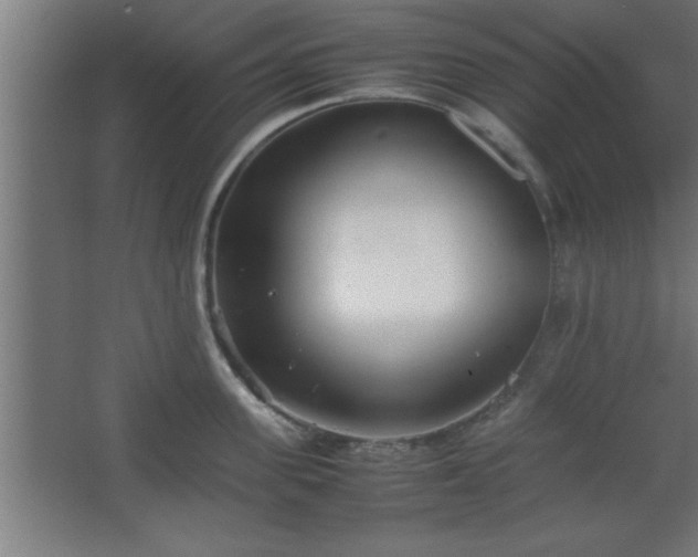 X0000067830955200604201212