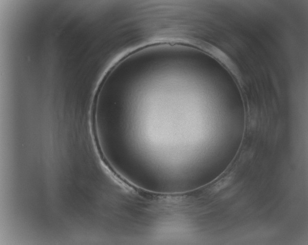 X0000067830958200604201212