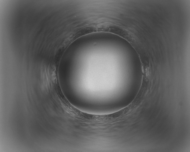 X0000067830963200604201211