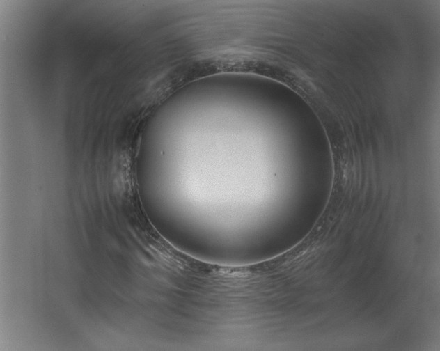 X0000067830964200604201211