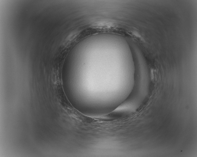 X0000067830965200604201211