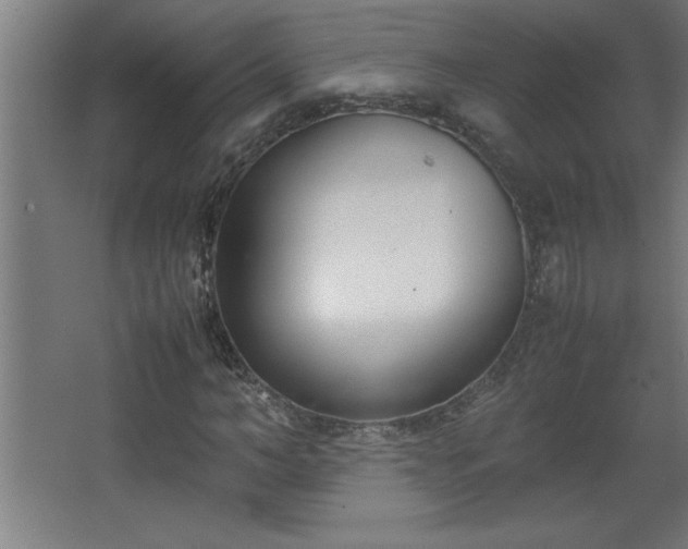 X0000067830966200604201211