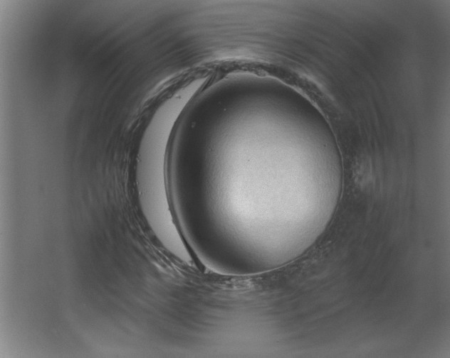 X0000067830968200604201211