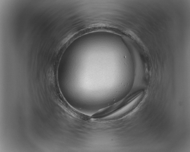 X0000067830969200604201211