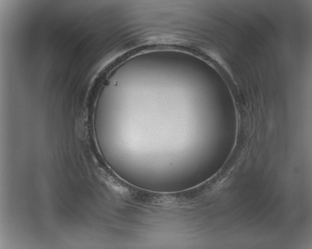 X0000067830971200604201211