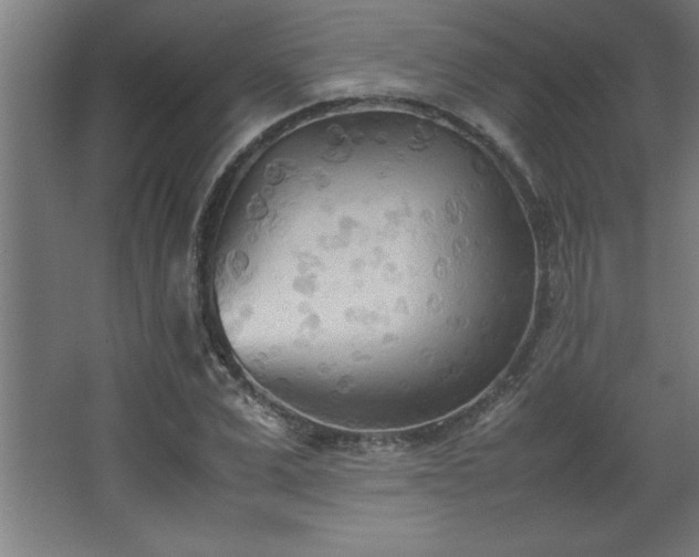 X0000067830975200604201211