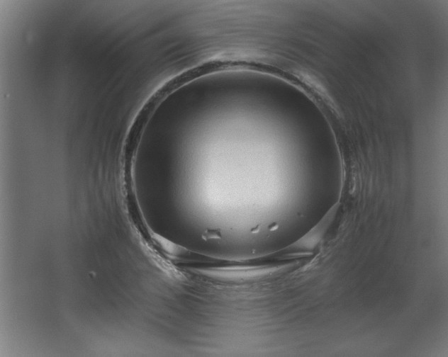 X0000067830976200604201211