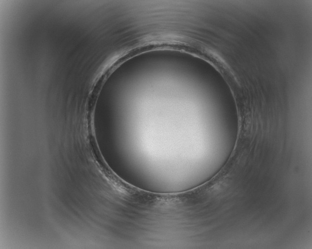 X0000067830978200604201211