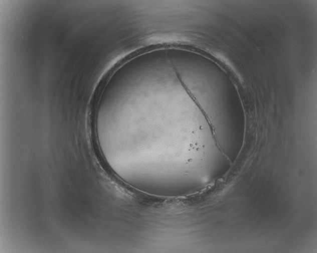 X0000067830983200604201211