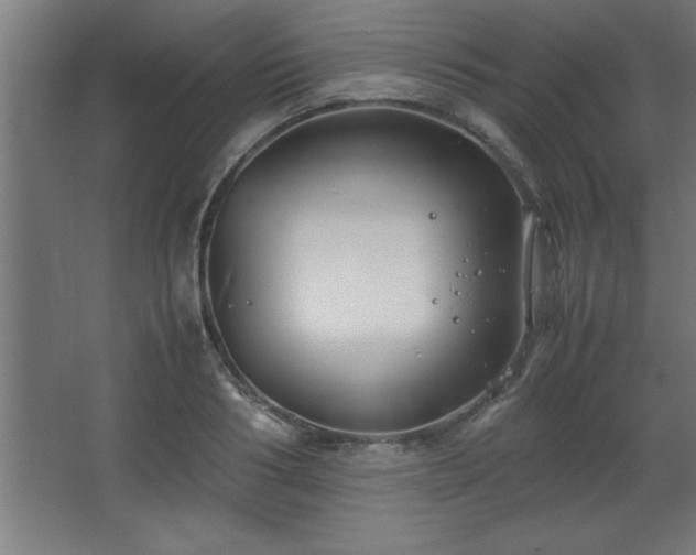 X0000067830986200604201211