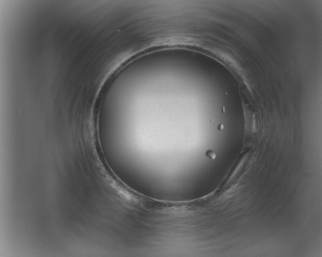 X0000067830990200604201211