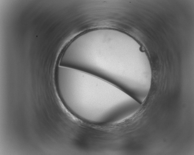 X0000067830995200604201211