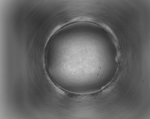 X0000067830997200604201211