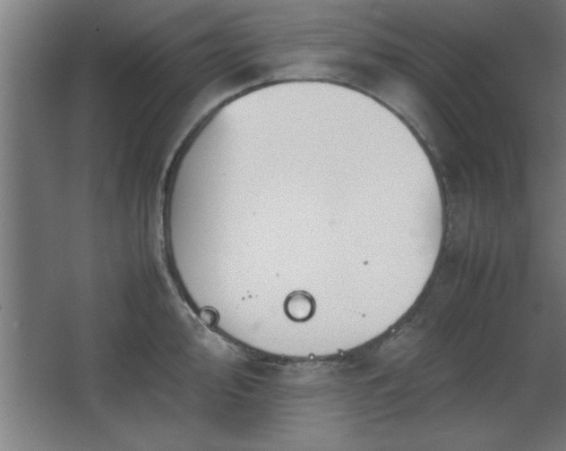 X0000067831000200604201211