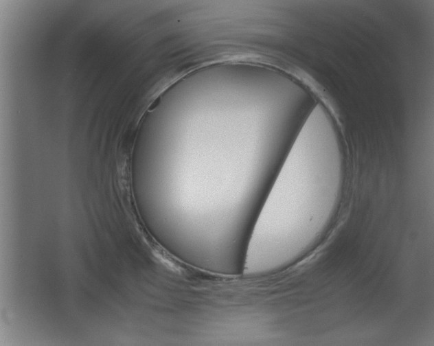 X0000067831001200604201211