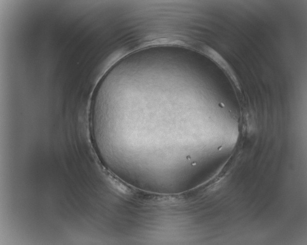 X0000067831002200604201210